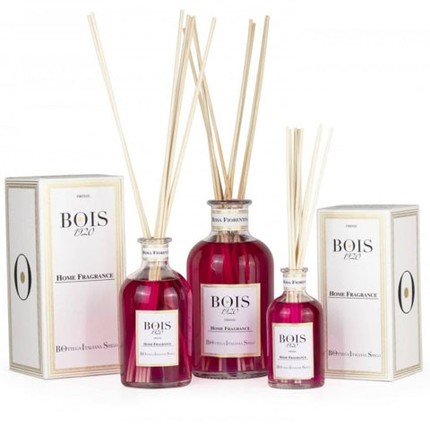 Bois 1920 Discovery Set