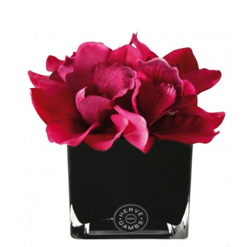 Fuschia Bouquet Orchids - Scent City