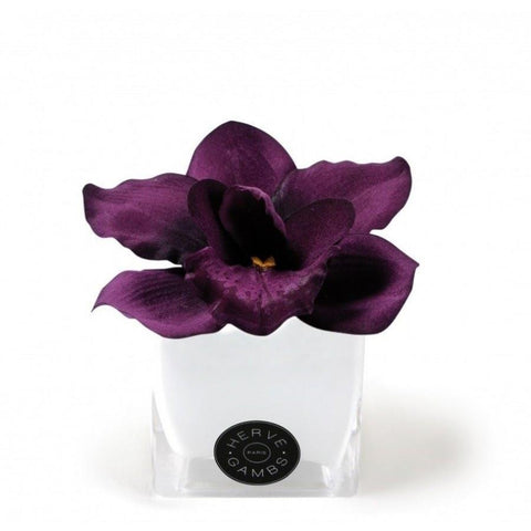 Love Couture Red Orchid