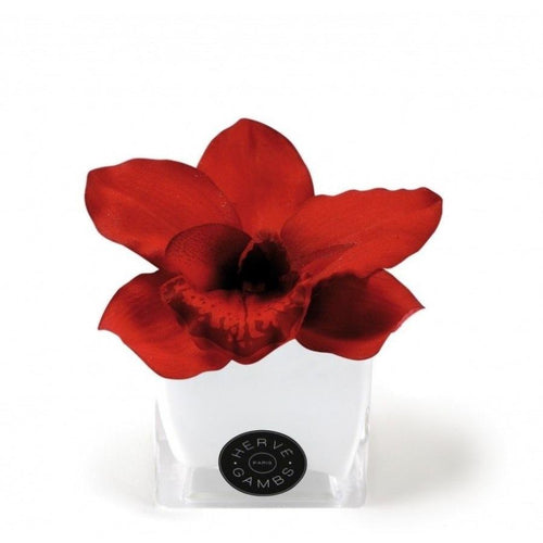 Love Couture Red Orchid - Scent City