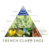 French Clary Sage Necklace